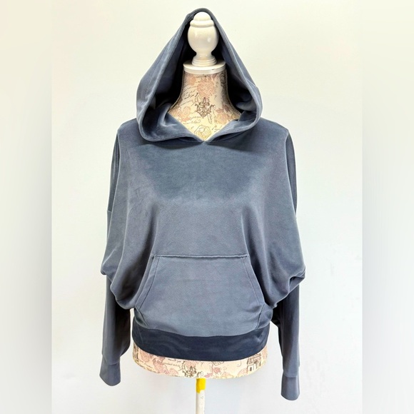 AMERICAN EAGLE OUTFITTERS Gray/blue soft velour hoodie sweatshirt size S - Picture 1 of 13